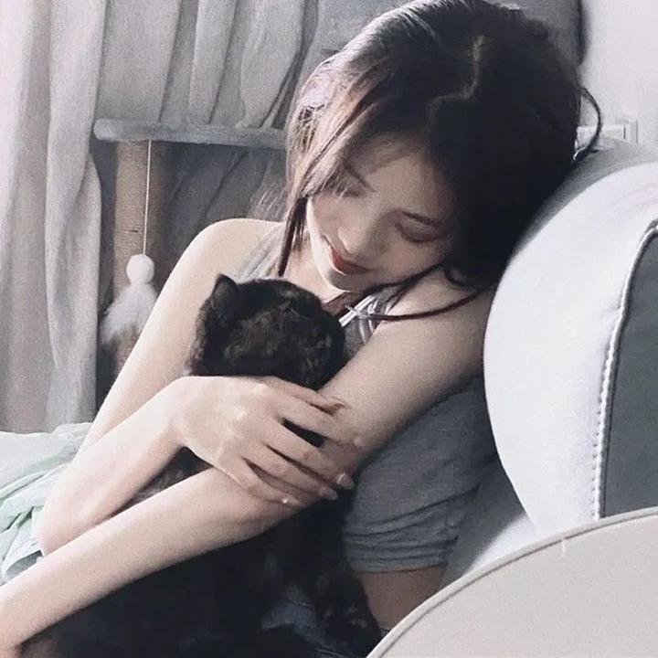 八面玲珑的申小姐