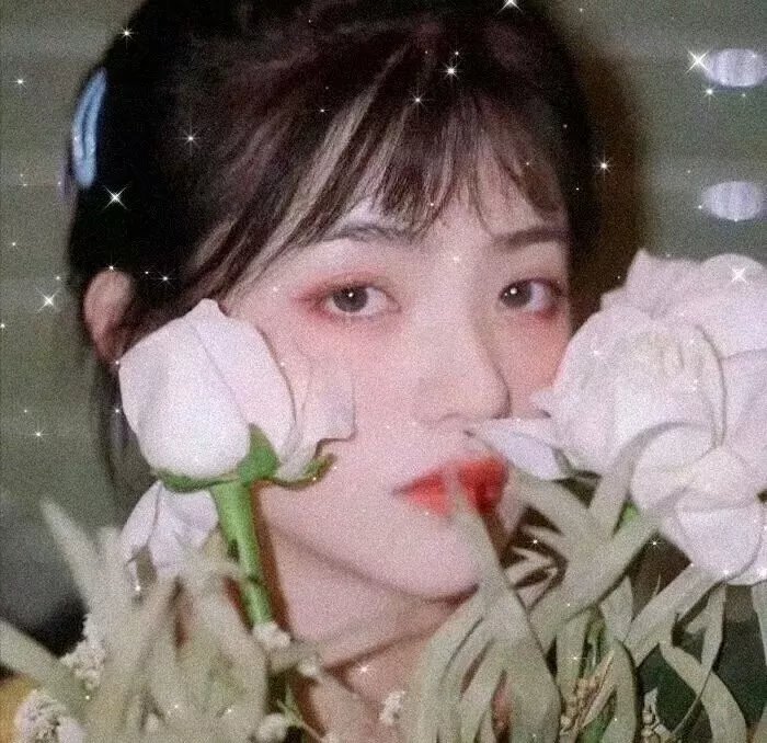 德里女孩第三季